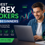 best-forex-brokers-for-beginners