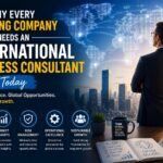 international business consultant