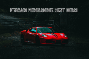 Ferrari Purosangue Rent Dubai