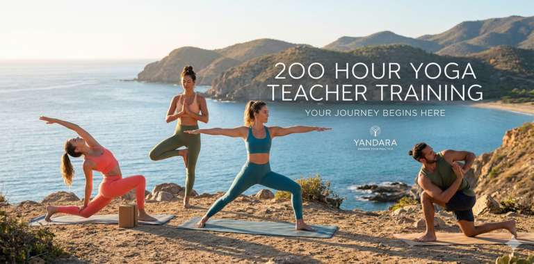 The Ultimate Guide to a Transformative 200 Hour Yoga Teacher Training Journey