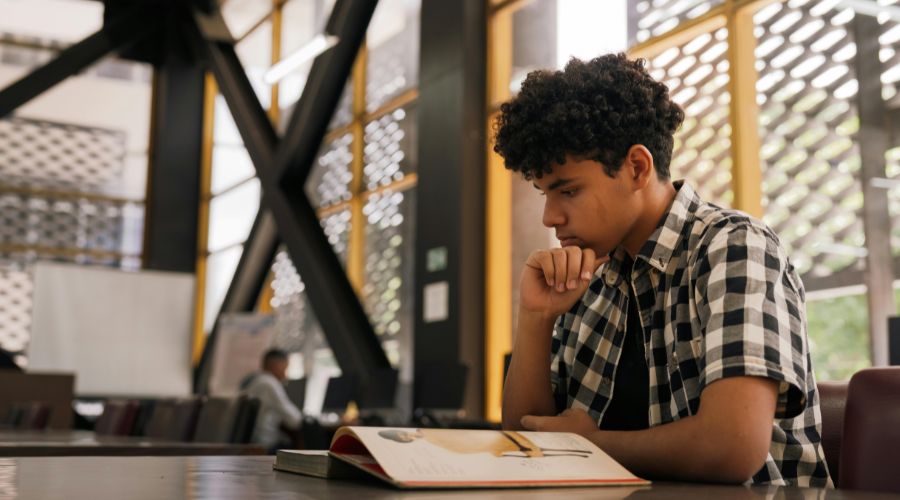essay writer help