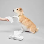 Dog wipes