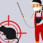 Mouse Killer Spray in Lahore