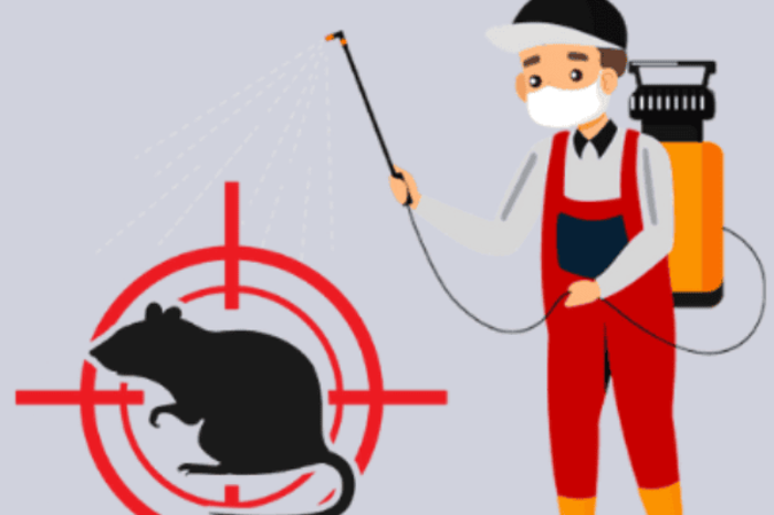 Mouse Killer Spray in Lahore