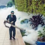 Mosquito Killer Spray Services in Lahore