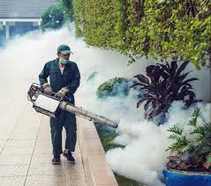 Mosquito Killer Spray Services in Lahore