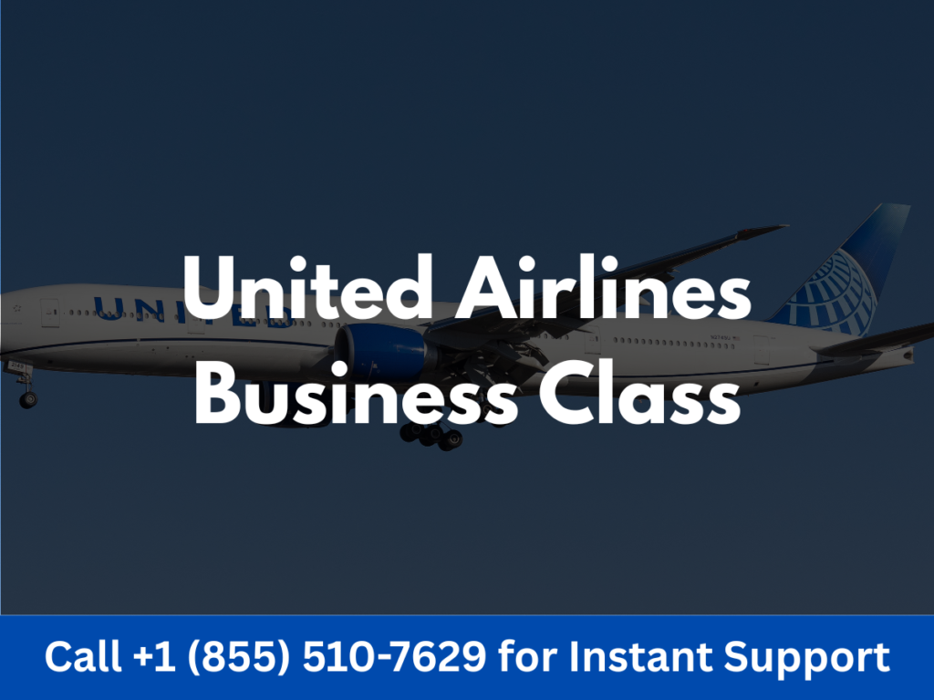 united airlines business class