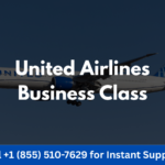 united airlines business class