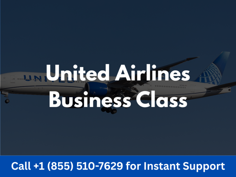united airlines business class