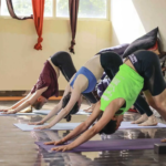 300 hour Yoga Teacher Training in Goa Fees