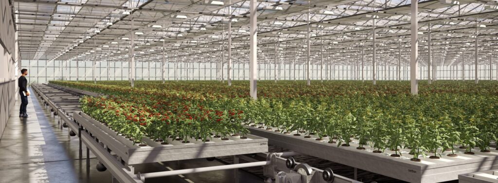 Essential Greenhouse Supplies for Ventilation, Humidity, and Pest Control