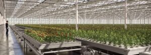 Essential Greenhouse Supplies for Ventilation, Humidity, and Pest Control