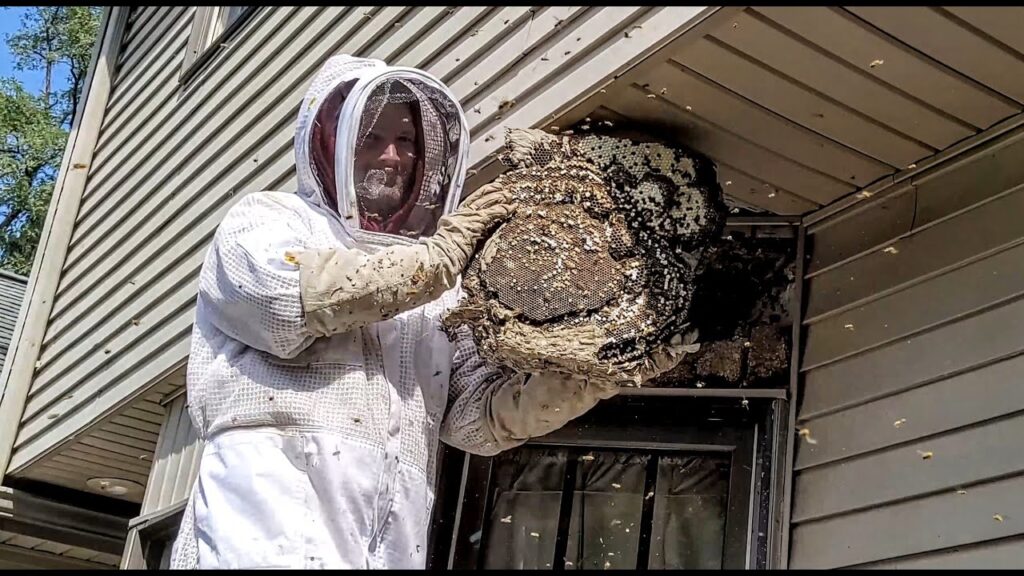 How to Prevent Bees From Nesting in Stone Walls and Pathways