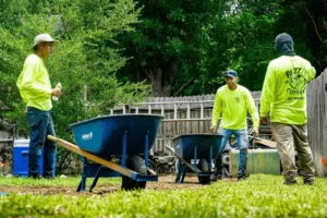 landscape design colleyville tx