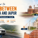 Golden Triangle Tour