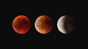Lunar Phases