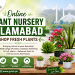 Online Plant Nursery Islamabad by Gulab PK featuring fresh indoor and outdoor plants with fast delivery across Islamabad.