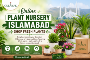 Online Plant Nursery Islamabad by Gulab PK featuring fresh indoor and outdoor plants with fast delivery across Islamabad.