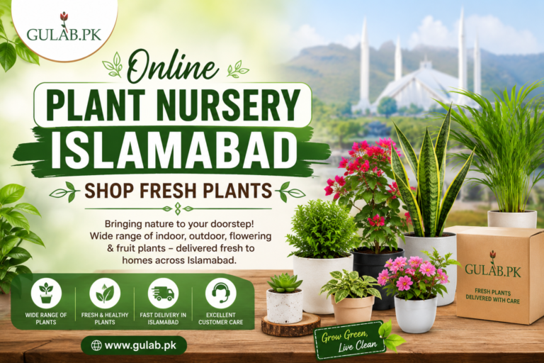 Online Plant Nursery Islamabad by Gulab PK featuring fresh indoor and outdoor plants with fast delivery across Islamabad.