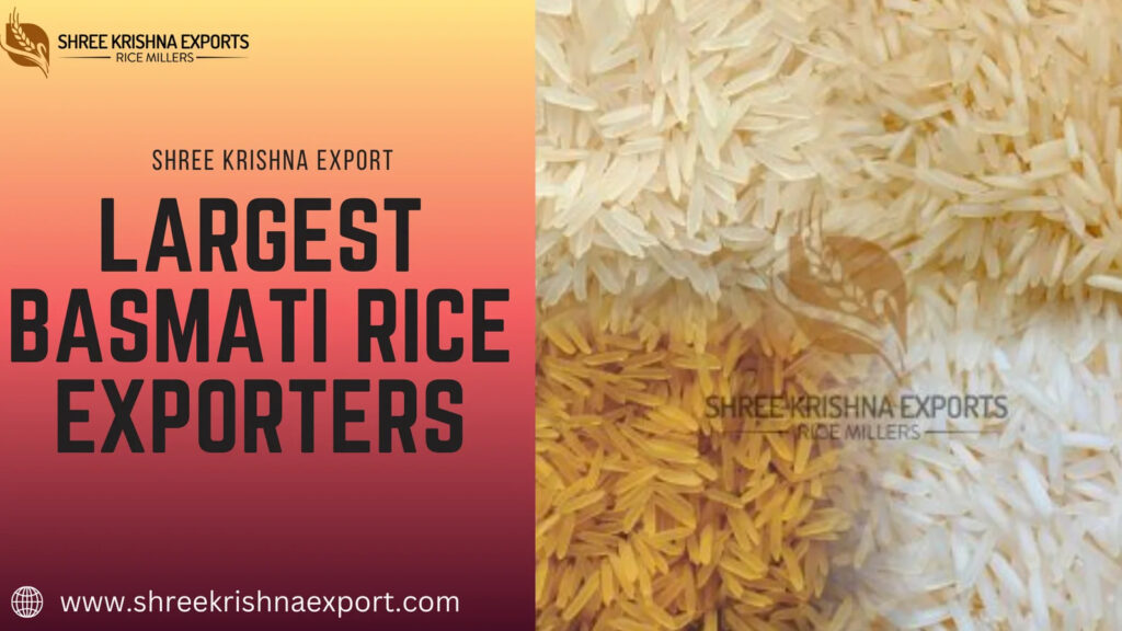 Largest Basmati Rice Exporters
