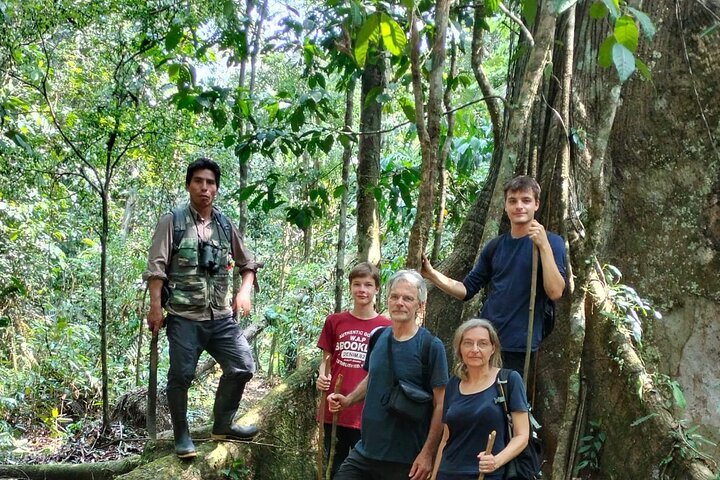 Jungle trip, Manu expedition