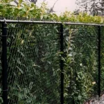 Chain Link Galvanized Asheville
