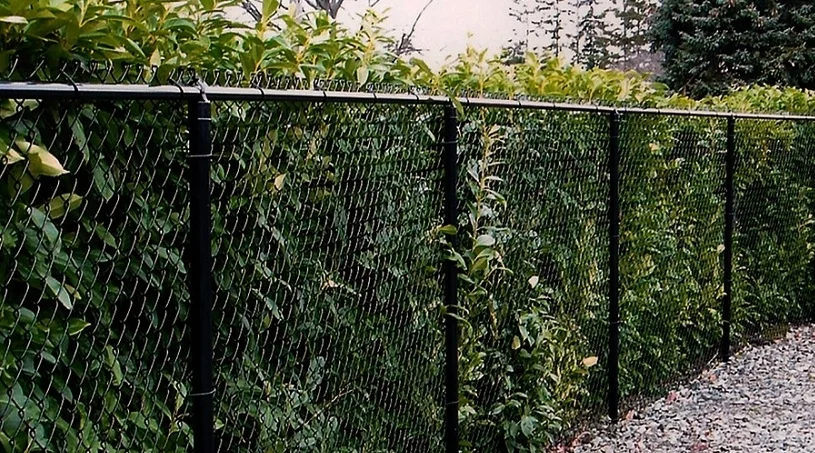 Chain Link Galvanized Asheville