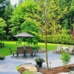 storm damage tree removal near me