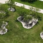 Lawn Care Weatherford TX