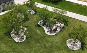 Lawn Care Weatherford TX