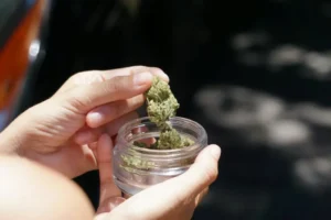 24 hour dispensary vancouver