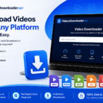 Online Video Downloader