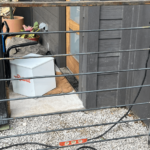 modern landscape design austin tx
