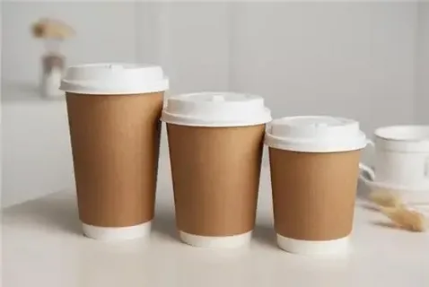 Exploring What Adding Tight Lids To Custom Double Wall Paper Cups Does