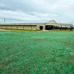 Hydromulch North Texas