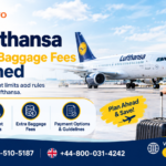 Lufthansa Baggage Fees