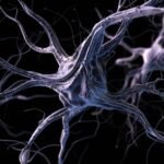 Mapping New Possibilities in Brain and Nerve Care