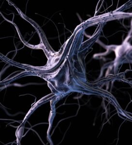 Mapping New Possibilities in Brain and Nerve Care