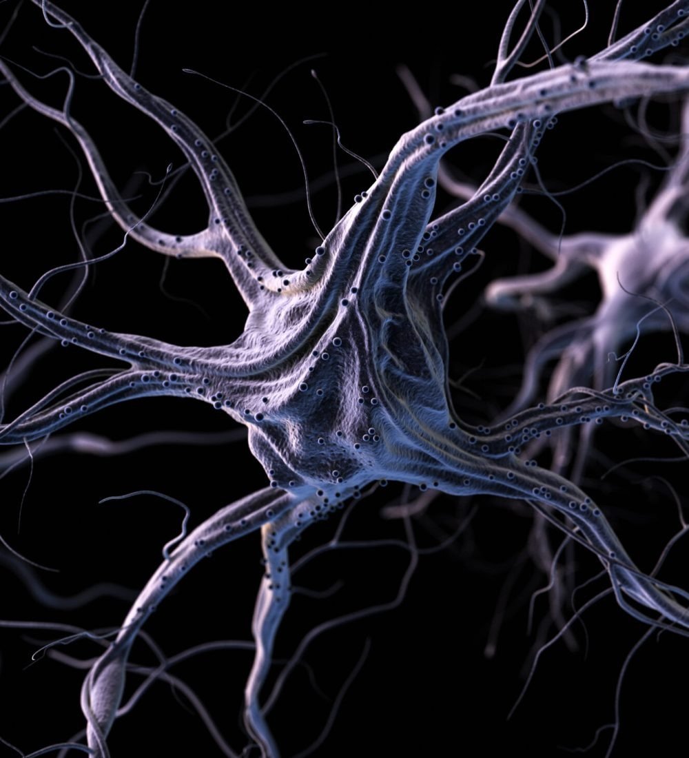Mapping New Possibilities in Brain and Nerve Care