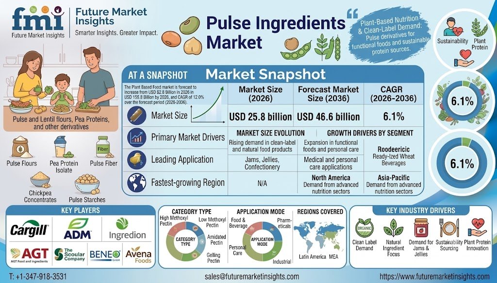 Pulse Ingredients Market Outlook