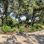 xeriscape austin texas