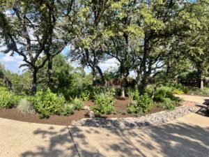 xeriscape austin texas