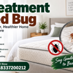 Bed Bug