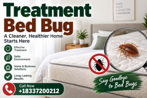 Bed Bug