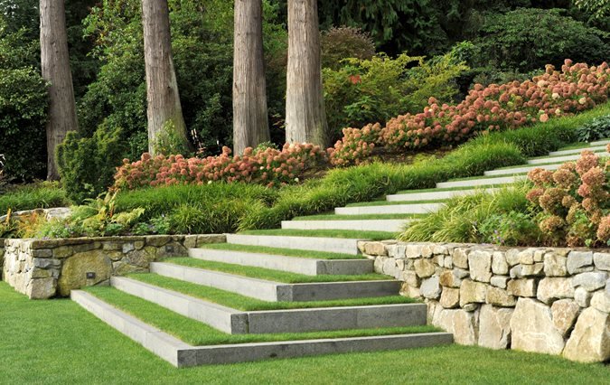 landscape design colleyville tx