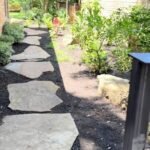 xeriscape austin texas