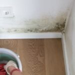 mold removal los angeles
