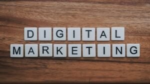 SEO Company in Noida
