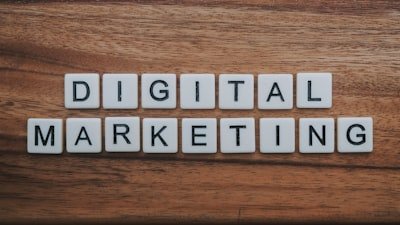 SEO Company in Noida