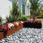 Xeriscape Austin Texas